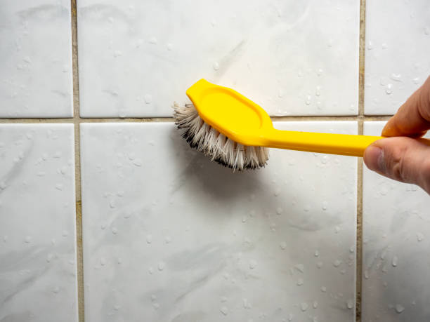  Grafton, WI Mold Removal Pros