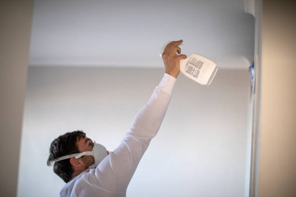 Best Residential Mold Removal  in Grafton, WI