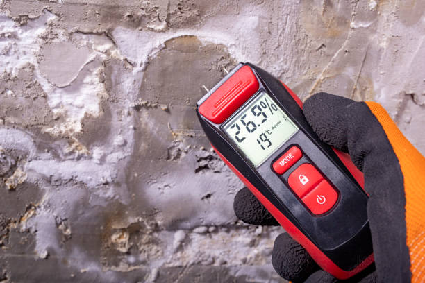 Best Mold Testing  in Grafton, WI