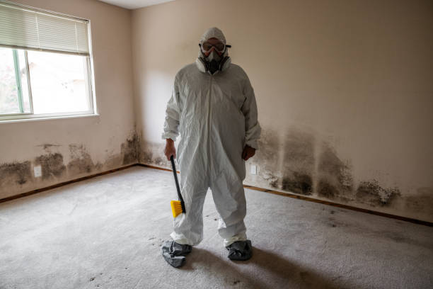 Best Emergency Mold Removal  in Grafton, WI